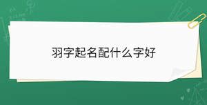 羽的名字|羽字起名寓意、羽字五行和姓名学含义